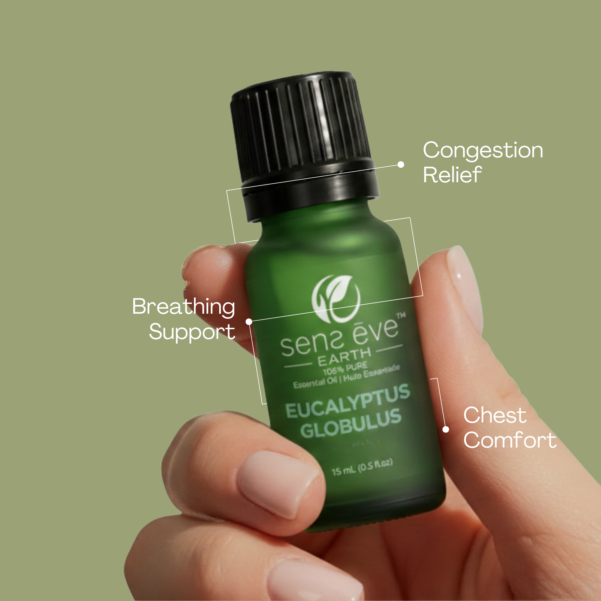 EUCALYPTUS GLOBULUS (Eucalyptus Globulus) 100% Pure and Natural Essential Oil - 15mL