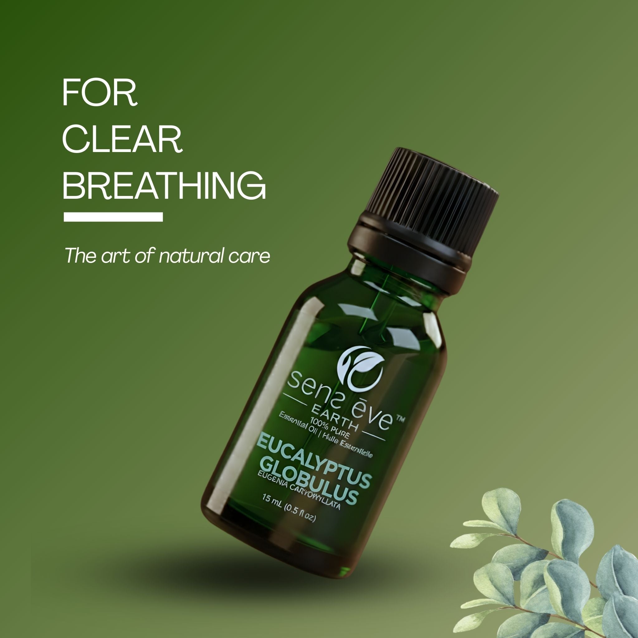 EUCALYPTUS GLOBULUS (Eucalyptus Globulus) 100% Pure and Natural Essential Oil - 15mL