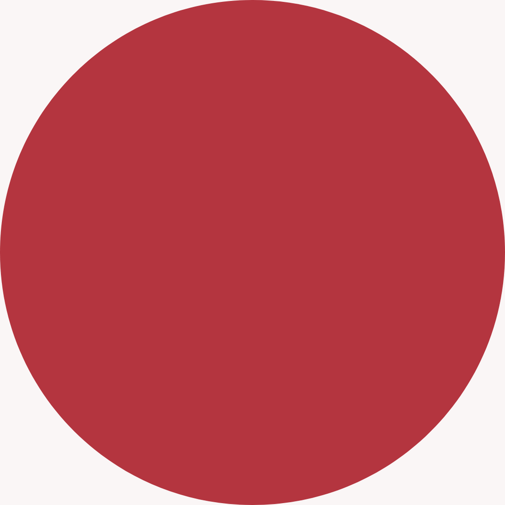 V KOSMETIK - أحمر شفاه سائل مخملي يدوم طويلاً (اللون: AIOLI)