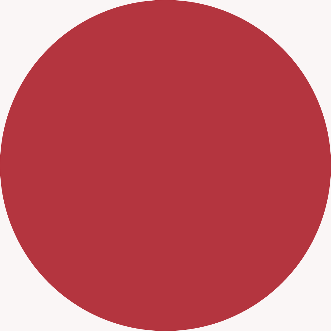 V KOSMETIK - أحمر شفاه سائل مخملي يدوم طويلاً (اللون: AIOLI)