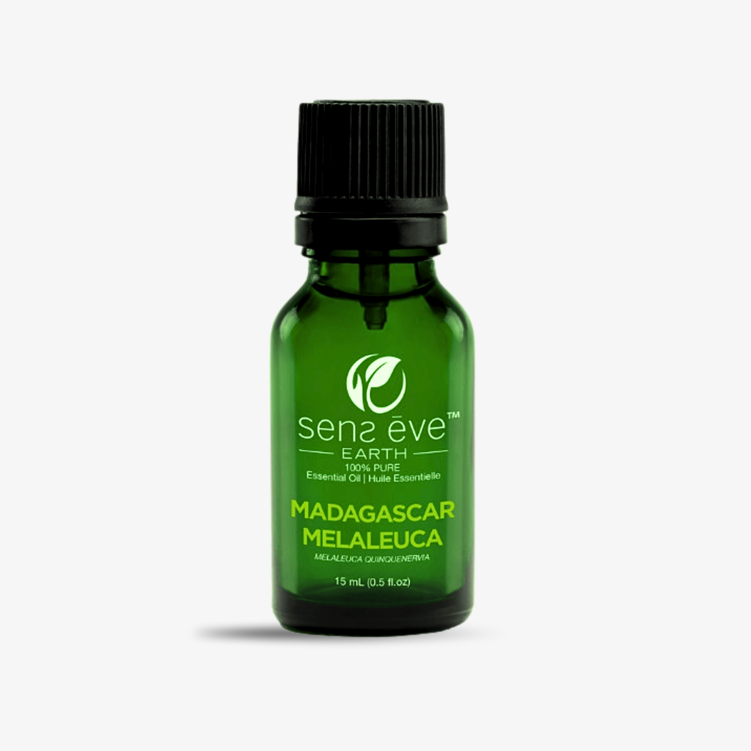 Madagascar Malaleuca (Melaleuca quinquenervia) Huile essentielle 100% Pure et Naturelle - 15mL