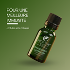 RAVINTSARA CAMPHORA (Cinnamomum camphora) 100% Pure and Natural Essential Oil - 15mL