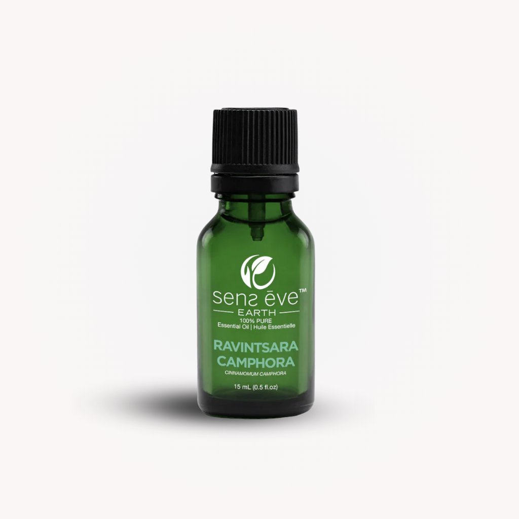 RAVINTSARA CAMPHORA (Cinnamomum camphora) 100% Pure and Natural Essential Oil - 15mL