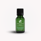 RAVINTSARA CAMPHORA (Cinnamomum camphora) 100% Pure and Natural Essential Oil - 15mL